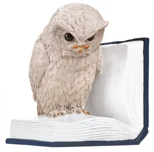 Sujeta Libros Buho Lector