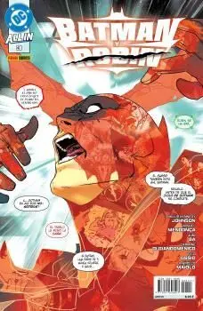 All In Batman y Robin 03