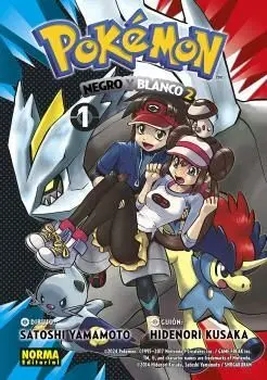 Pokemon Negro y Blanco 2 -31