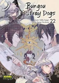 Bungou Stray Dogs 22