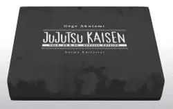 Jujutsu Kaisen 29 + 30 Pack Especial