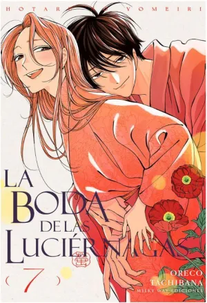 La Boda de las Luciernagas 7